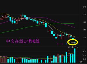 中文在線(xiàn)300364限售股解禁 能否助公司走出低谷，重振互聯(lián)網(wǎng)文化活動(dòng)？